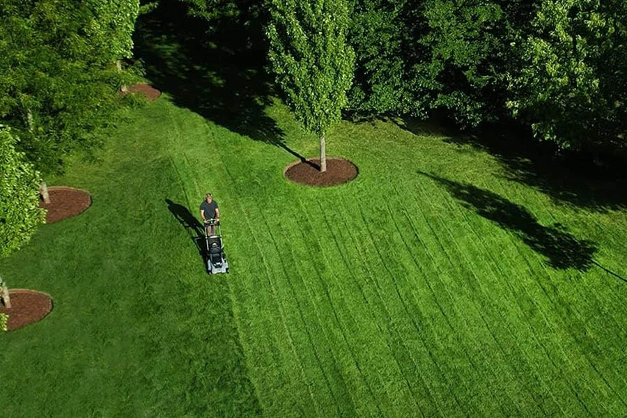 best electric self propelled lawn mower